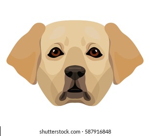 Happy Lab Dog Cartoon Mascot Head Stock Illustration 1547693345