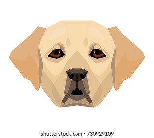 Vector labrador muzzle icon dog portrait corner polygonal style paper applique