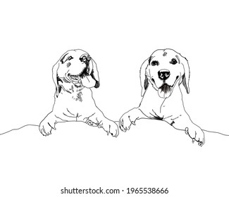 Vector the Labrador Retriever line art on white background