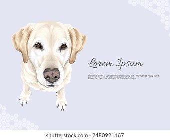 Vector Labrador Retriever wall decor ideas. realistic drawing animal. Hand drawn Dog isolated on purple background