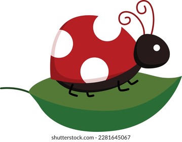 a vector of ladubug on top of a leaf