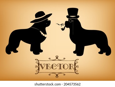 Vector 