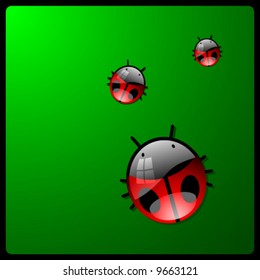 vector lady-beetles