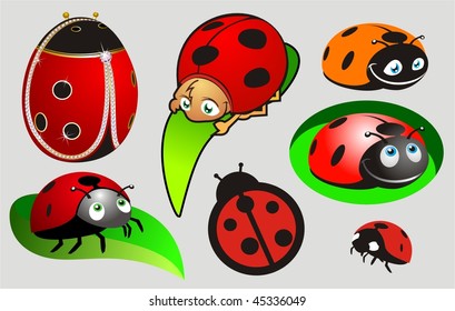 Vector ladybird