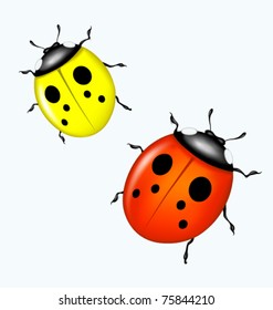 Vector ladybird