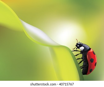 Vektorladybird auf grünem Blatt