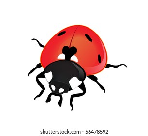 Vector ladybird on a white background