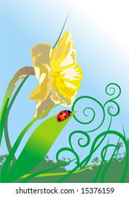 vector ladybird spring illustration