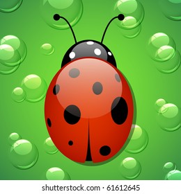 Vector ladybug