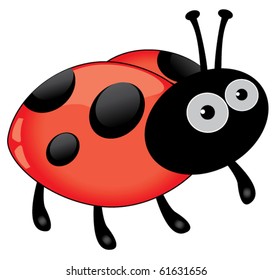 vector ladybug