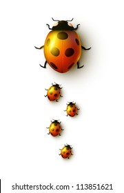 vector ladybug family