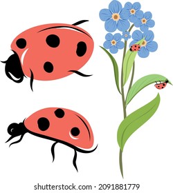 Vector Ladybug illustration with blue flower