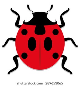 Vector Ladybug Illustration Isolated On White Background