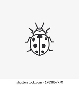 Vector of ladybug on white background