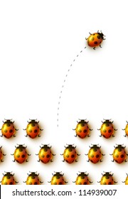 vector ladybugs