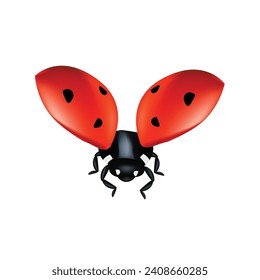 Vektorladybugs mit roten und schwarzen Flecken.