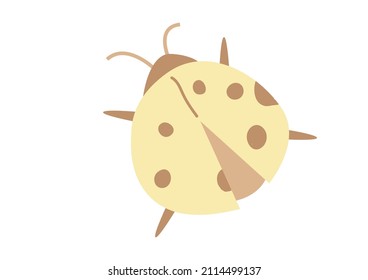 Vector  ladybuin flat hand drawn style isolated on white background. Illustration with cute insects can be used to design cards, presentations, invitations.