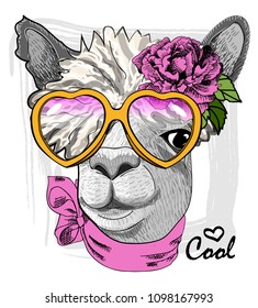 Vector lama with glasses, pink scarf and flower. Hand drawn illustration of dressed animal.