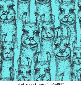 Vector lama heads seamless pattern. Llama or alpaca hand drawn ink sketch. Cute mammal animal drawing