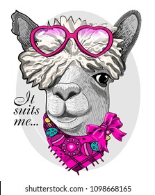 Vector lama with pink glasses and scarf. Hand drawn illustration of dressed animal.