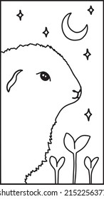 Vector lamb coloring page (guinea pig) on the background of a starry sky for sketchbook covers, t-shirt print. Cute fluffy animal coloring page