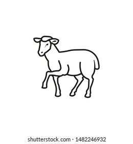 Vector lamb outline icon, sheep icon. Isolated lamb label