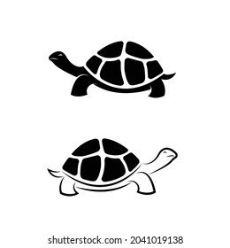 Vector of land tortoise design on white background. Easy editable layered vector illustration. Wild Animals. Amphibians. svg