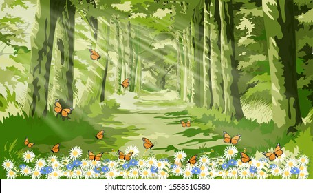 Vector landscape of Beautiful Senery of nature with sun light shining in morning forest foliage,Fantasy cartoon of green forest with butterfly and bee flying over daisy field in summer.