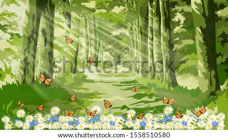 Vector landscape of Beautiful Senery of nature with sun light shining in morning forest foliage,Fantasy cartoon of green forest with butterfly and bee flying over daisy field in summer.