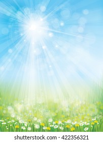 Vector landscape with chamomiles and dandelions on sunshine, blue sky background.