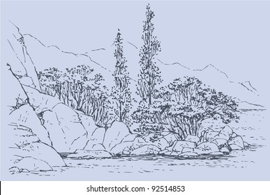 Vector landscape. Cypress trees and shrubs on the rocky beach
