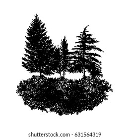 vector landscape with fir trees and grass, abstract nature background, forest template, hand drawn illustration