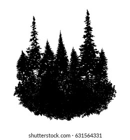 vector landscape with fir trees and grass, abstract nature background, forest template, hand drawn illustration