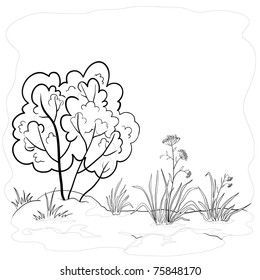 Vector landscape, garden with a grass, flowers and bush, contours