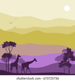 vector landscape with giraffes, hot african exotic background for banner or cover design, hand drawn illustration