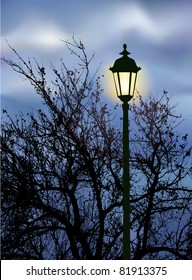 Vector landscape. Glowing lantern near the branches of an old tree a cool autumn evening