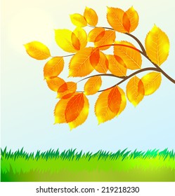 Vector landscape with Golden  Autumn leaves  tree