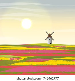 Vector landscape. Holland. Floral fields with tulips of red, yellow and pink flowers. Large white mill