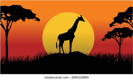 Vector Landscape Illustration of Beautiful mountain landscape with Giraffe, Africa tree, and forest. sunrise and sunset in mountains.