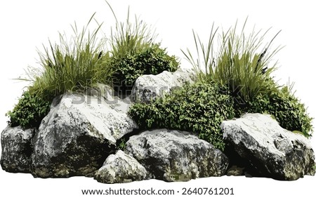 Vector landscape, isolated rocks, grassy weed, transparent, plant composition, nature background, outdoor grass, natural rocks, scenic design, clear backdrop