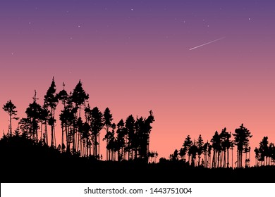 Vector landscape late evening in forest, silhouettes of pine trees against clear sunset sky, outdoor nature under the stars. Background for website, travel illustration