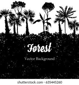 vector landscape with palm trees and grass, black silhouette, abstract nature background,vintage tropical forest design template, hand drawn illustration