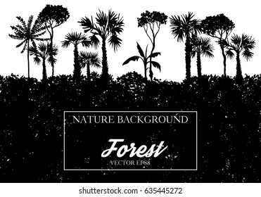 vector landscape with palm trees and grass, black silhouette, abstract nature background,vintage tropical forest design template, hand drawn illustration