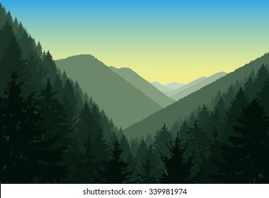 Vector landscape. Panorama of mountains. Evergreen trees.  