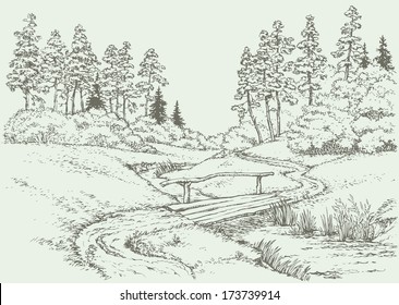 Vector landscape. The path leading through with boards bridge over the creek, surrounded by summer meadow and pine forest