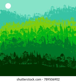 vector landscape with pine and fir trees, abstract nature background, forest template, hand drawn illustration