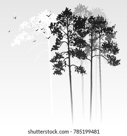 vector landscape with pine trees and birds, abstract nature background, forest template, hand drawn illustration