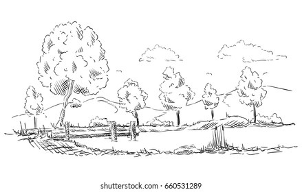 vector -  landscape with pond- isolated on background