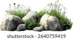 Vector landscape with realistic rocks, grass flower field, nature view, outdoor terrain, beautiful grass, rocky hill, vibrant flowers, nature setting, natural scenery