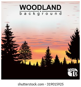 Vector landscape. Silhouette of coniferous trees on the background of colorful sky. Sunset. Eps 10.